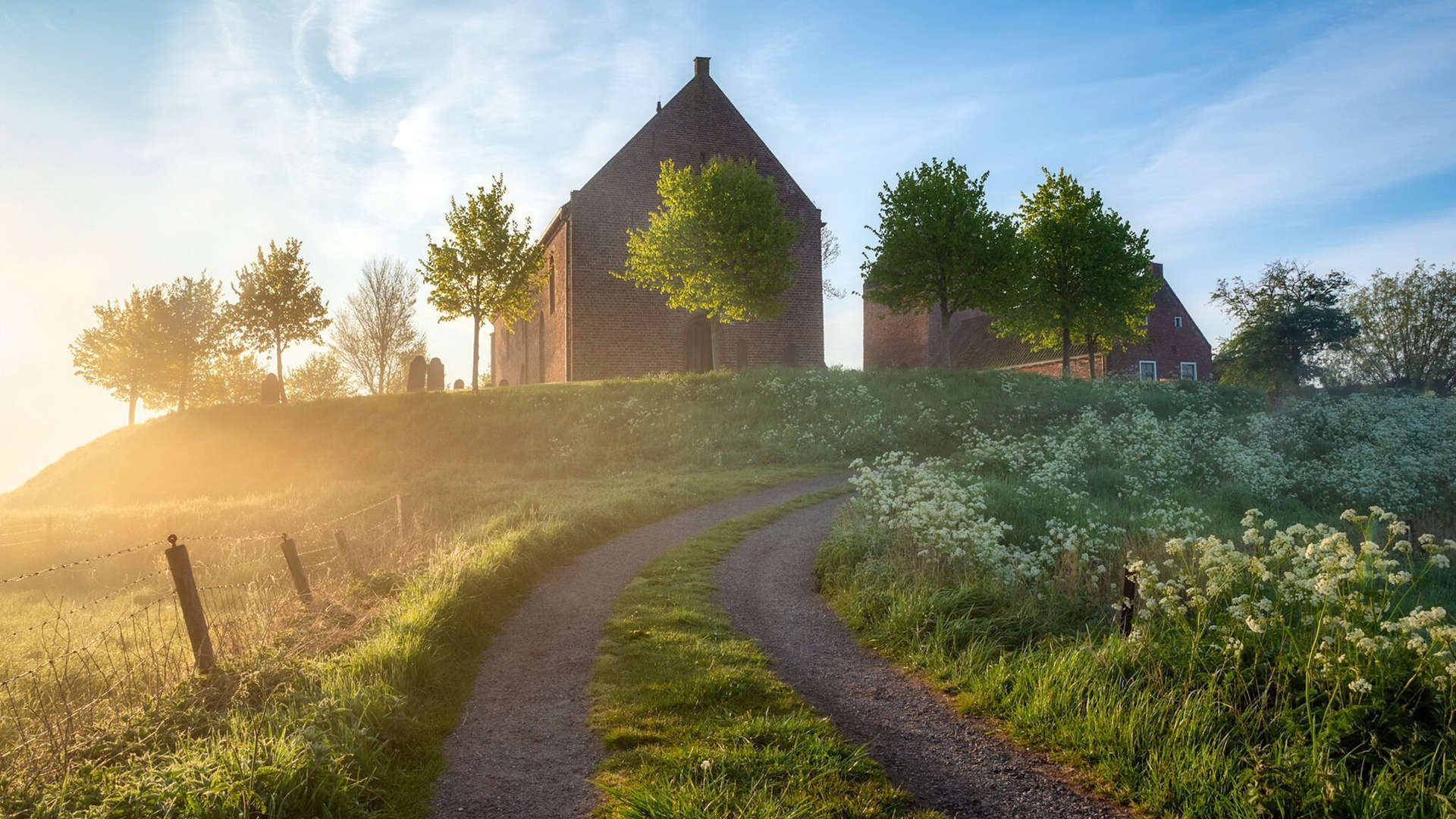 v7.2.5 更新正式上线，2026年3月6日，聚焦性能优化与安全加固